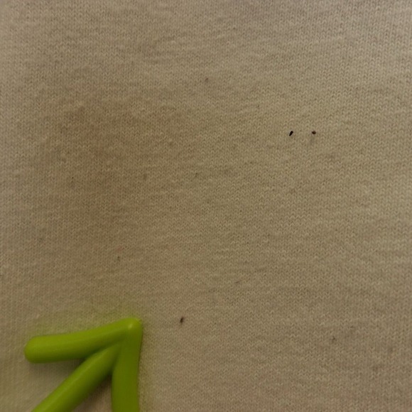 VINTAGE Champion T Shirt XS Logo Spell Out Graphic Tee 90s Plain‎ Basic Classic - Picture 8 of 11